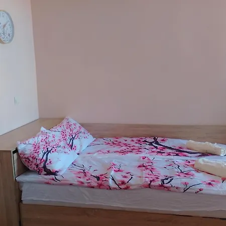 студио о Pomorie